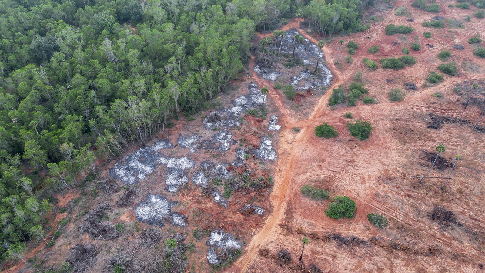 Alertas de desmatamento na Amazônia em outubro são os mais altos para o mês na série histórica, apontam dados do INPE